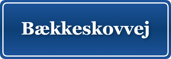 Parkering p&aring; Bækkeskovvej, K&oslash;benhavn