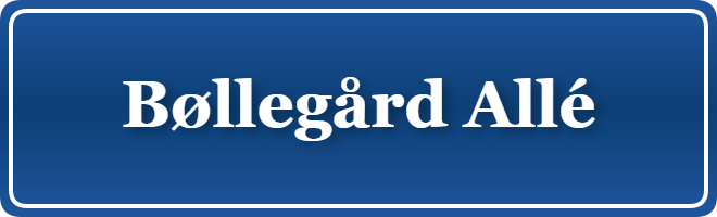 Parkering p&aring; Bøllegård Allé, K&oslash;benhavn