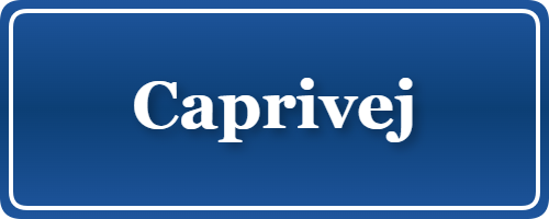 Parkering p&aring; Caprivej, K&oslash;benhavn