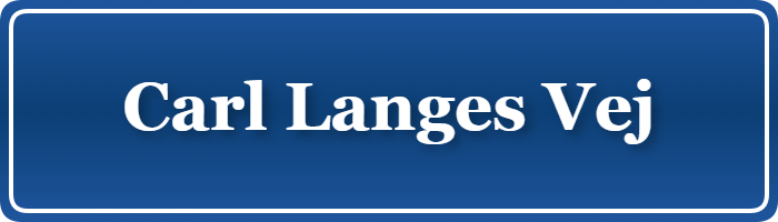 Parkering p&aring; Carl Langes Vej, K&oslash;benhavn