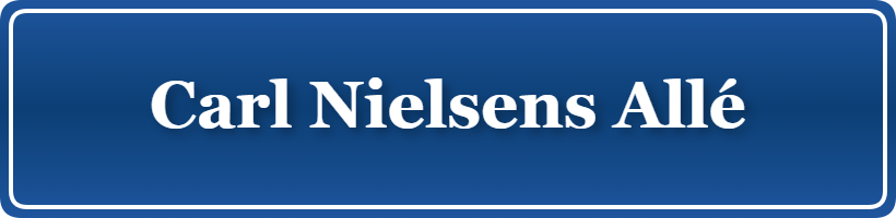 Parkering p&aring; Carl Nielsens Allé, K&oslash;benhavn