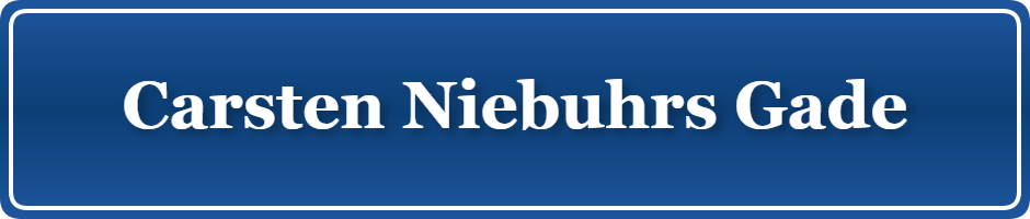 Parkering p&aring; Carsten Niebuhrs Gade, K&oslash;benhavn