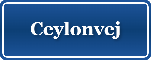 Parkering p&aring; Ceylonvej, K&oslash;benhavn