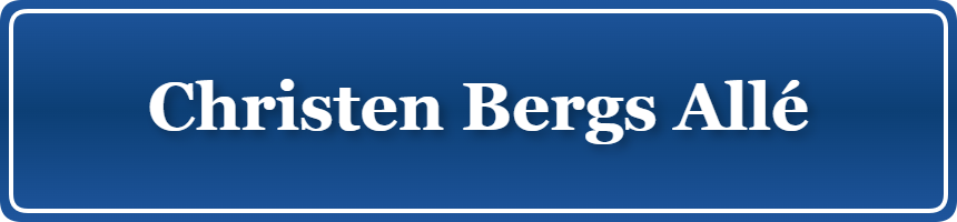 Parkering p&aring; Christen Bergs Allé, K&oslash;benhavn