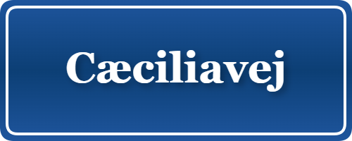 Parkering p&aring; Cæciliavej, K&oslash;benhavn