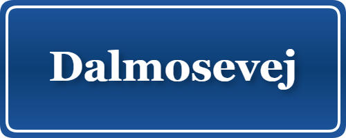 Parkering p&aring; Dalmosevej, K&oslash;benhavn