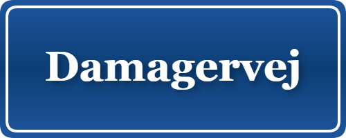 Parkering p&aring; Damagervej, K&oslash;benhavn