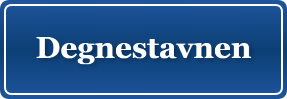 Parkering p&aring; Degnestavnen, K&oslash;benhavn