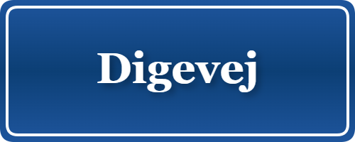 Parkering p&aring; Digevej, K&oslash;benhavn