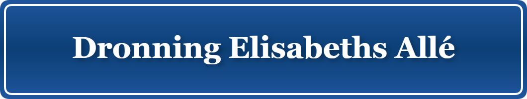 Parkering p&aring; Dronning Elisabeths Allé, K&oslash;benhavn