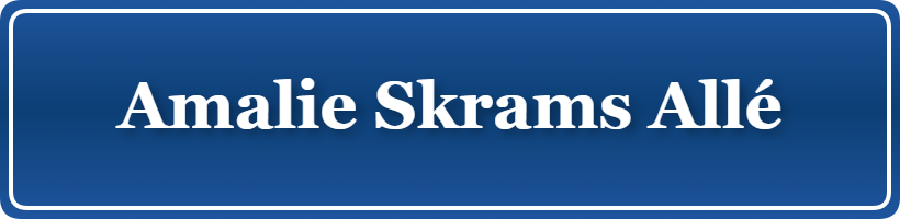 Parkering p&aring; Amalie Skrams Allé, K&oslash;benhavn