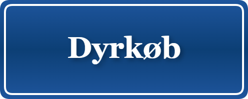 Parkering p&aring; Dyrkøb, K&oslash;benhavn