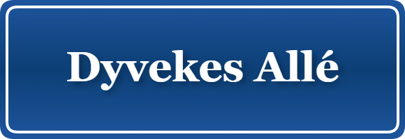 Parkering p&aring; Dyvekes Allé, K&oslash;benhavn