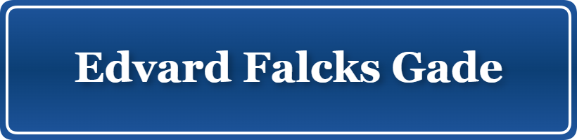 Parkering p&aring; Edvard Falcks Gade, K&oslash;benhavn