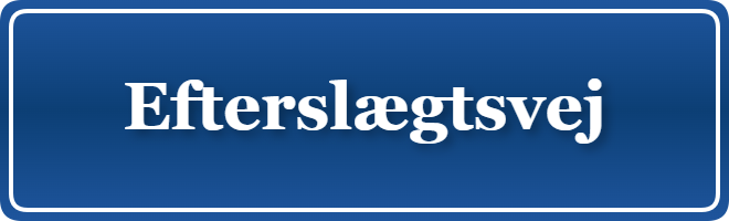 Parkering p&aring; Efterslægtsvej, K&oslash;benhavn