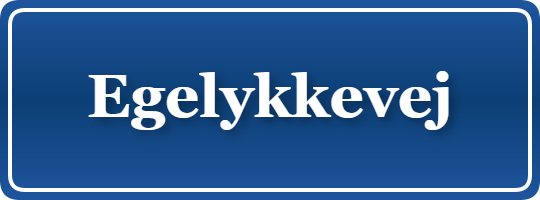 Parkering p&aring; Egelykkevej, K&oslash;benhavn