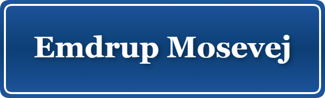 Parkering p&aring; Emdrup Mosevej, K&oslash;benhavn