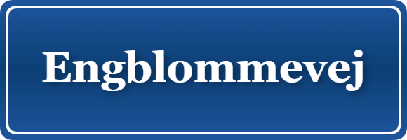 Parkering p&aring; Engblommevej, K&oslash;benhavn