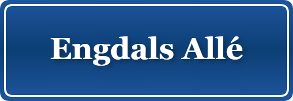 Parkering p&aring; Engdals Allé, K&oslash;benhavn