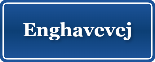 Parkering p&aring; Enghavevej, K&oslash;benhavn