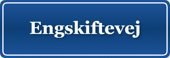 Parkering p&aring; Engskiftevej, K&oslash;benhavn