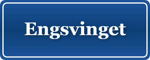 Parkering p&aring; Engsvinget, K&oslash;benhavn