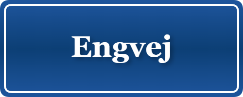 Parkering p&aring; Engvej, K&oslash;benhavn