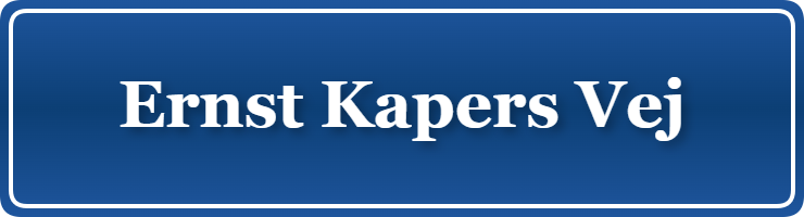 Parkering p&aring; Ernst Kapers Vej, K&oslash;benhavn