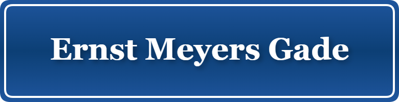 Parkering p&aring; Ernst Meyers Gade, K&oslash;benhavn