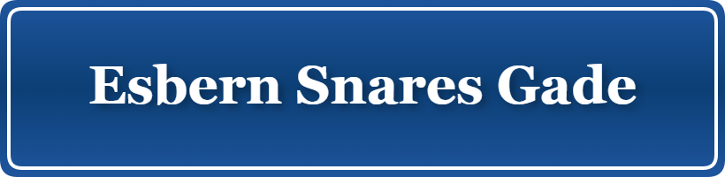 Parkering p&aring; Esbern Snares Gade, K&oslash;benhavn