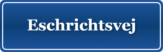 Parkering p&aring; Eschrichtsvej, K&oslash;benhavn