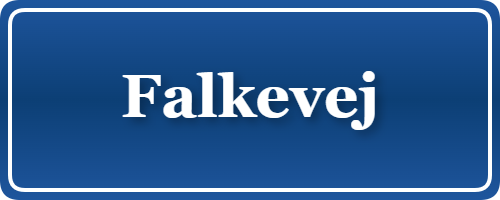 Parkering p&aring; Falkevej, K&oslash;benhavn