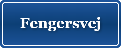 Parkering p&aring; Fengersvej, K&oslash;benhavn