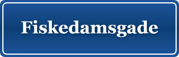 Parkering p&aring; Fiskedamsgade, K&oslash;benhavn