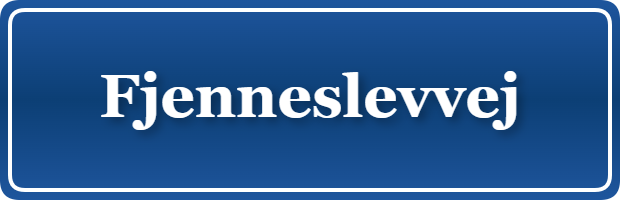 Parkering p&aring; Fjenneslevvej, K&oslash;benhavn