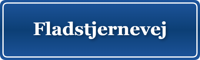 Parkering p&aring; Fladstjernevej, K&oslash;benhavn