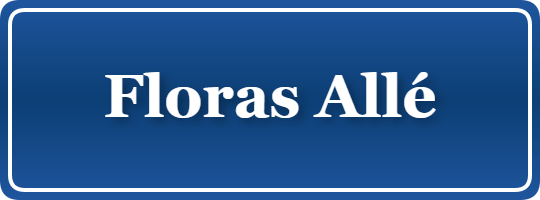 Parkering p&aring; Floras Allé, K&oslash;benhavn