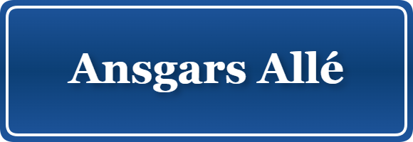 Parkering p&aring; Ansgars Allé, K&oslash;benhavn