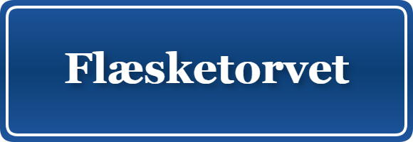 Parkering p&aring; Flæsketorvet, K&oslash;benhavn