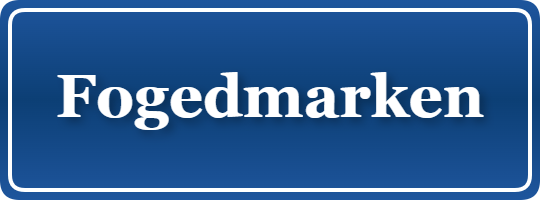 Parkering p&aring; Fogedmarken, K&oslash;benhavn