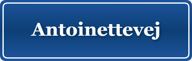 Parkering p&aring; Antoinettevej, K&oslash;benhavn