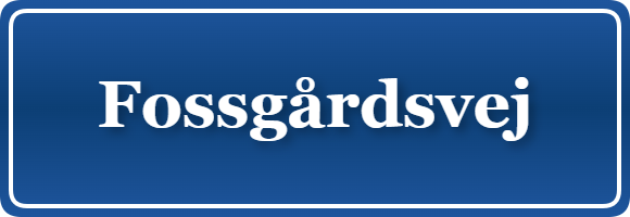 Parkering p&aring; Fossgårdsvej, K&oslash;benhavn