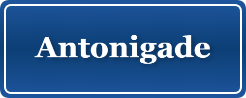 Parkering p&aring; Antonigade, K&oslash;benhavn