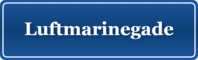 Parkering p&aring; Luftmarinegade, K&oslash;benhavn