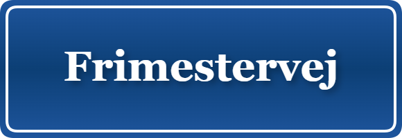 Parkering p&aring; Frimestervej, K&oslash;benhavn