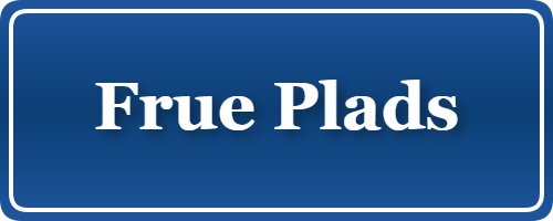 Parkering p&aring; Frue Plads, K&oslash;benhavn