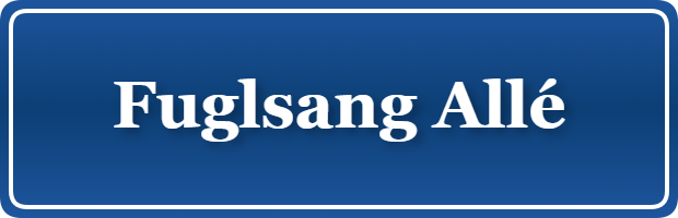 Parkering p&aring; Fuglsang Allé, K&oslash;benhavn