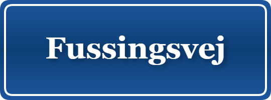 Parkering p&aring; Fussingsvej, K&oslash;benhavn