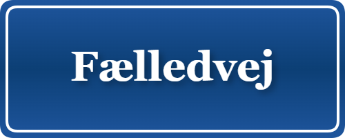 Parkering p&aring; Fælledvej, K&oslash;benhavn