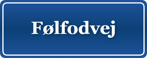 Parkering p&aring; Følfodvej, K&oslash;benhavn